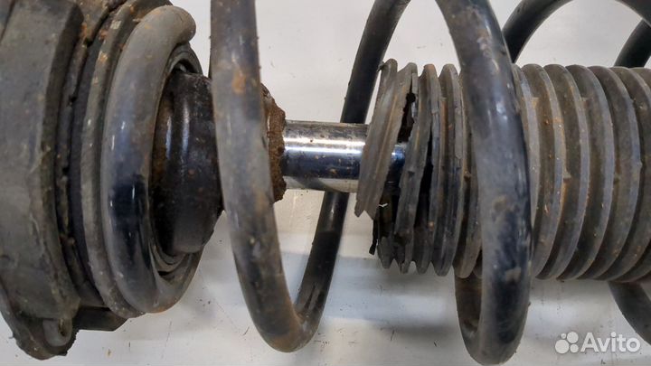 Амортизатор подвески Skoda Octavia (A5), 2010