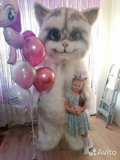 Ростовой кот Мажор