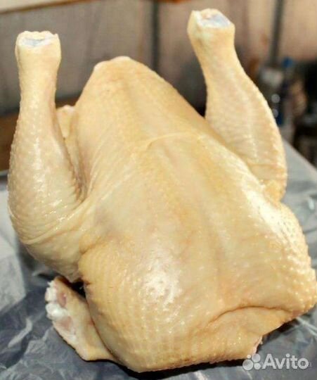 Тушки бройлера