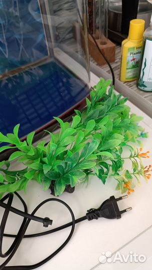 Аквариум на 50 литров