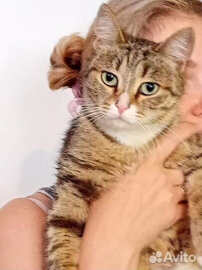 Кошечка -Шпротика в дар