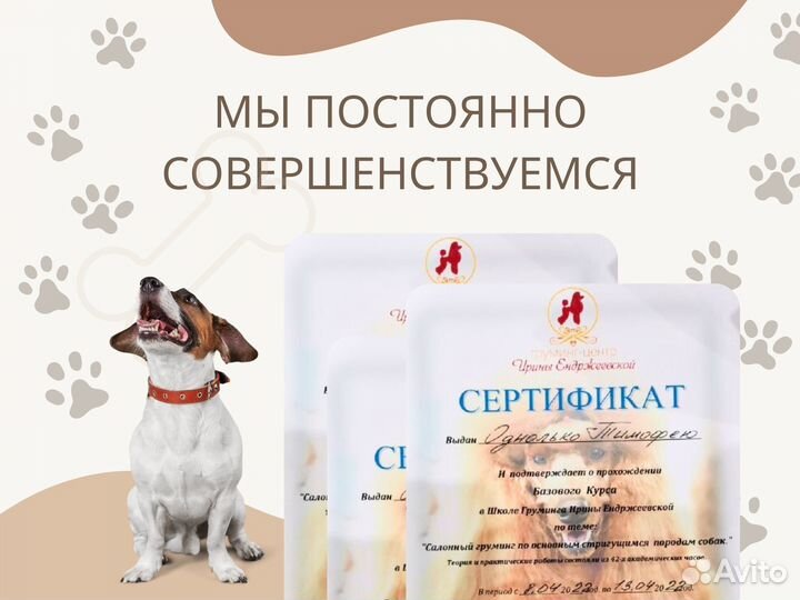 Груминг стрижка собак и кошек