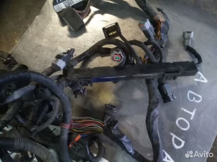 Проводка от эбу на двс Hyundai Accent 12кл