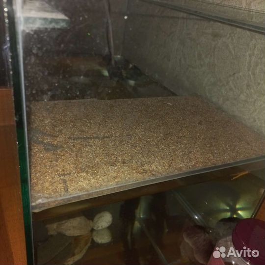 Аквариум для красноухой черепахи