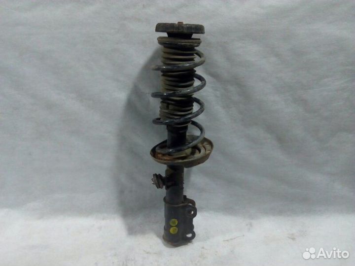 Амортизатор передний Chevrolet Cobalt T250 L2C