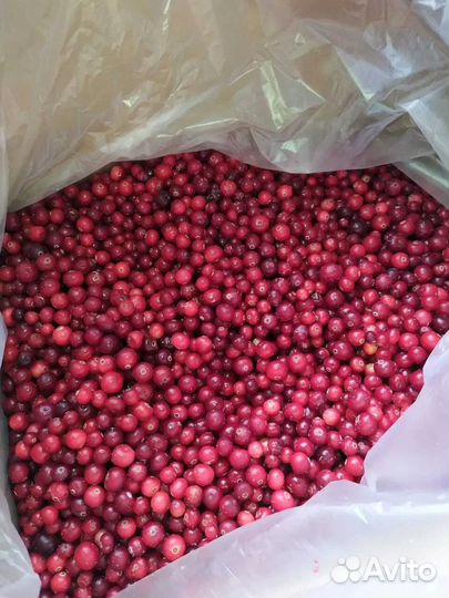 Клюква замороженная с доставкой