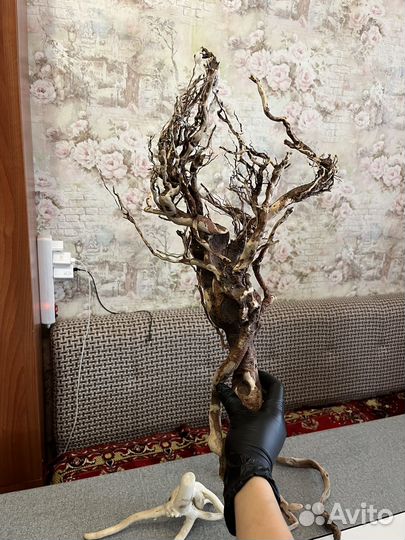 Коряга дерево для аквариума
