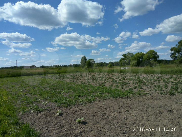 Участок 38 сот. (ИЖС)