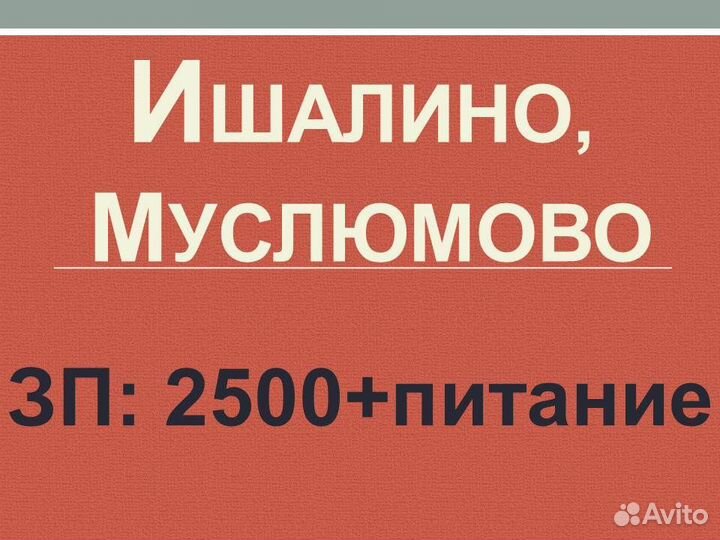 Охранник на вахту с питанием