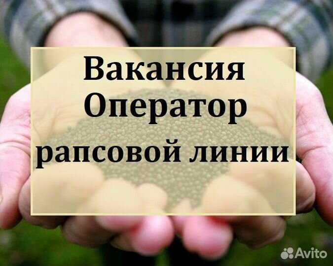 Оператор рапсовой линии