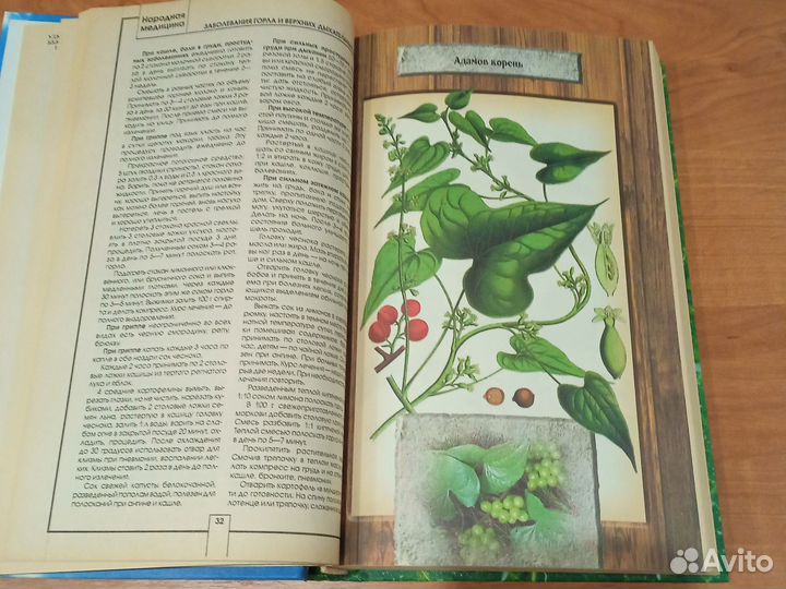 Народная медицина. А. Конев