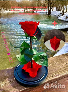 Вечная роза в колбе,роза в стекле,живая роза.Опт