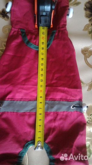 Одежда для животных