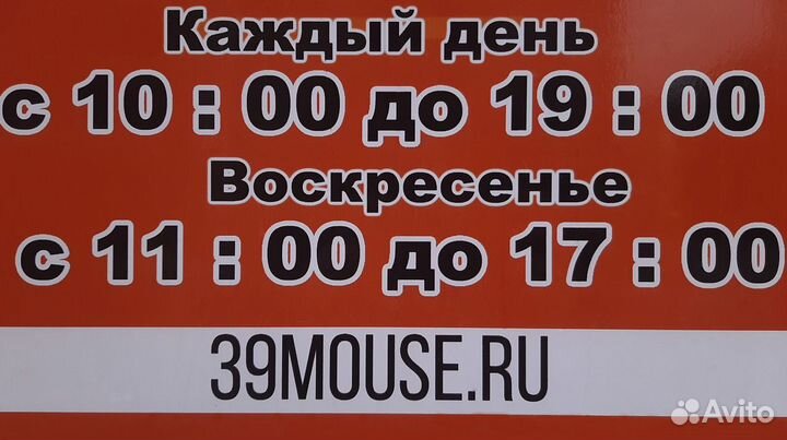 Внешний жесткий диск 500 Gb