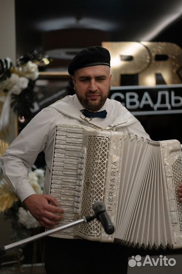 Аккордеонист на праздник. Живая музыка