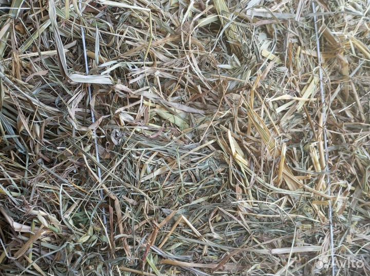 Сено в тюках, разнотравье