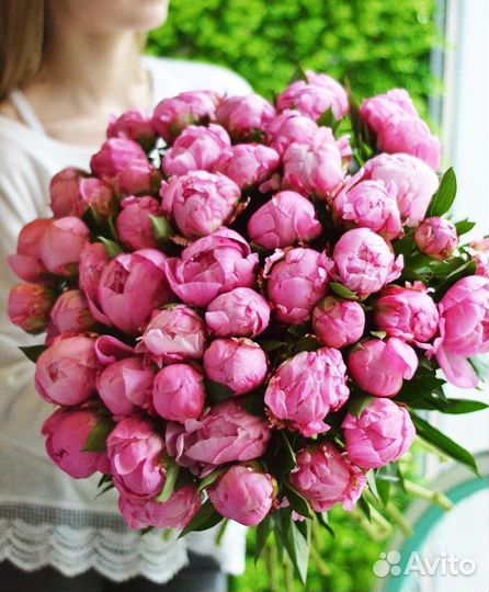 Крупные пионы с беспл. доставкой