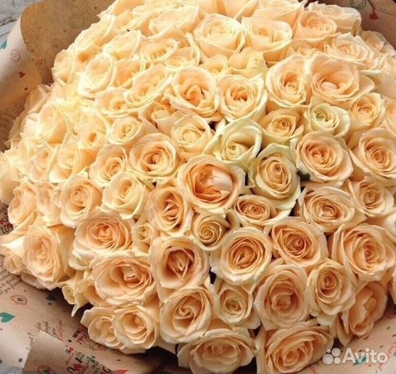 Розы Доставка