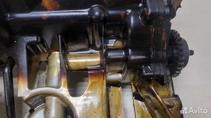 Насос масляный Renault Scenic, 2010