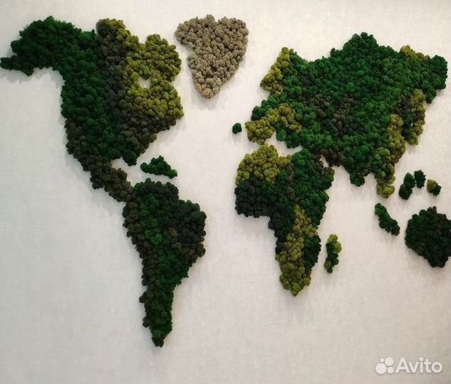 Панно из мха стабилизированного