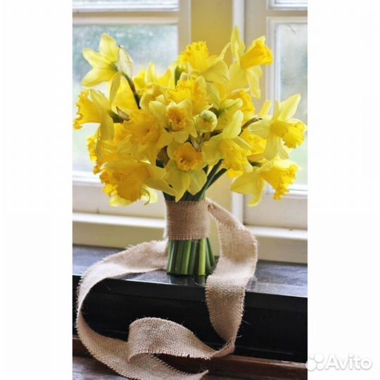 Букет нарциссов цветы