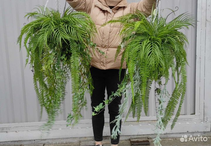 Подвесные композиции