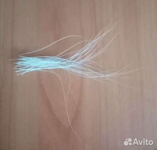 Кошачьи усы