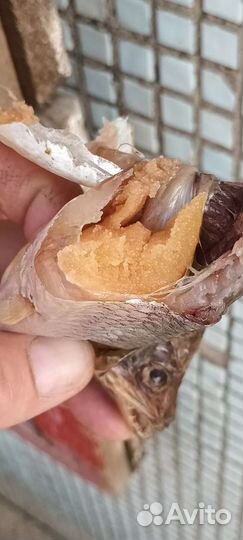 Корюшка вяленая