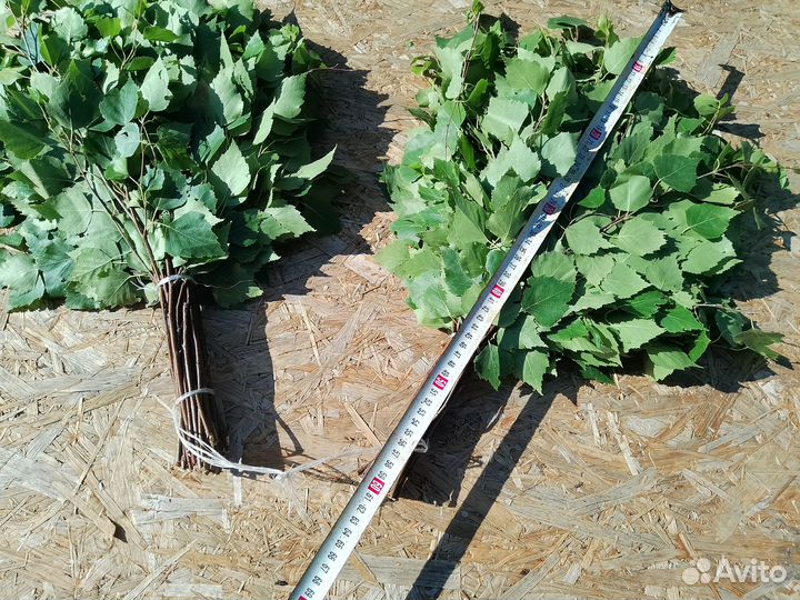 Дубовые и березовые веники для бани