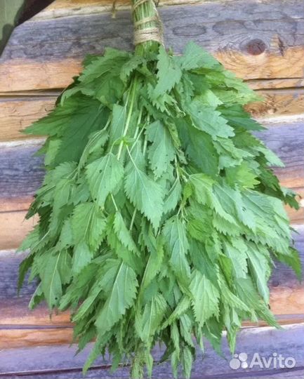 Веники для бани