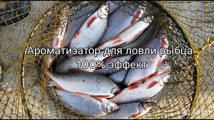 Ароматизатор Лосось, для ловли рыбца