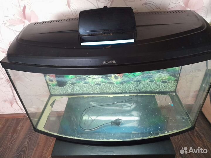 Аквариум