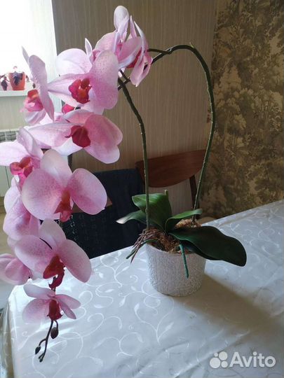 Орхидея искусственная