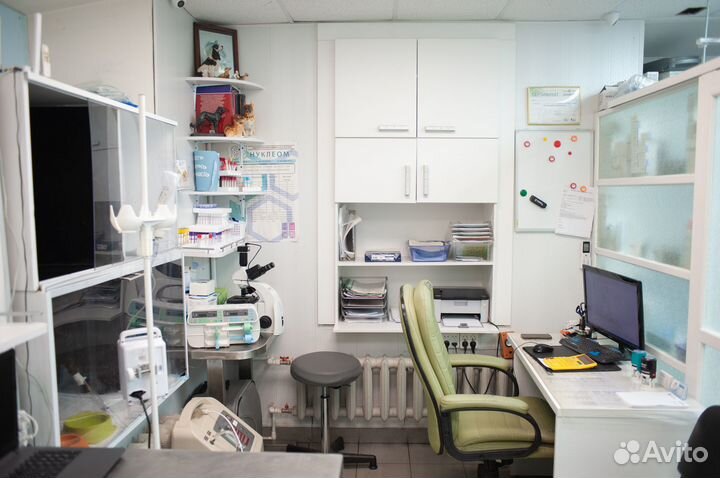 Стерилизация кошки в Калуге и области