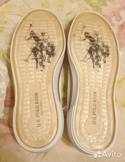 Кеды мужские us polo assn