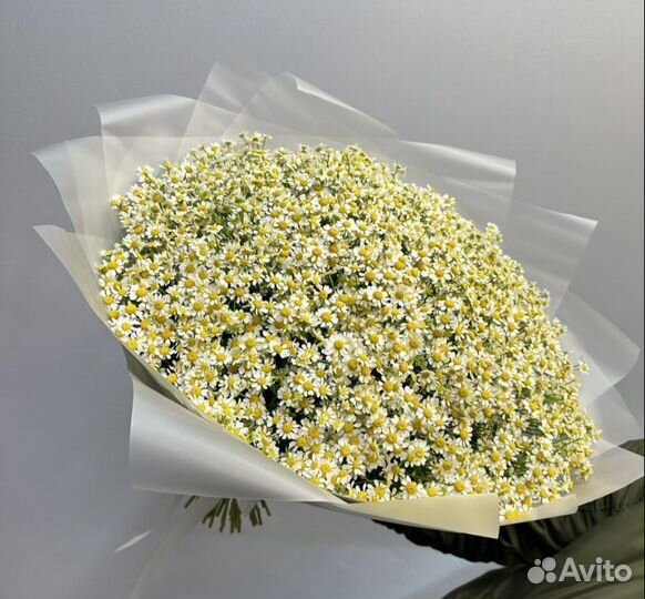 Ромашка букет гигант