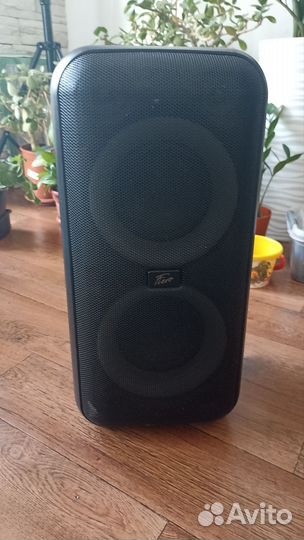 Домашняя аудиосистема Fiero Emotion 150