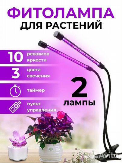 Фитолампа для рассады, растений и цветы