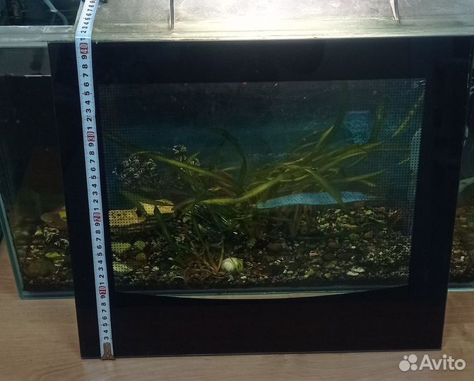 Стекло для духового шкафа