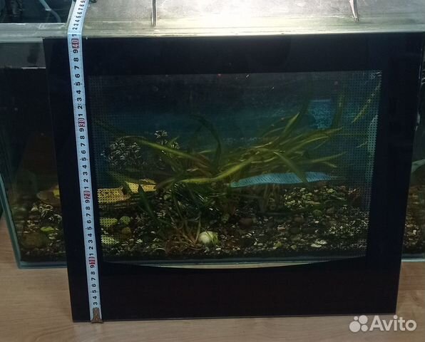 Стекло для духового шкафа