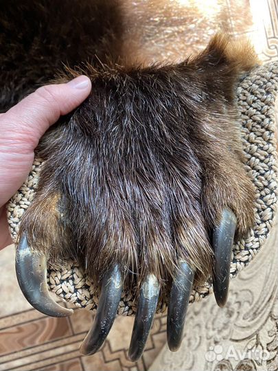 Шкура медведя (имитация)