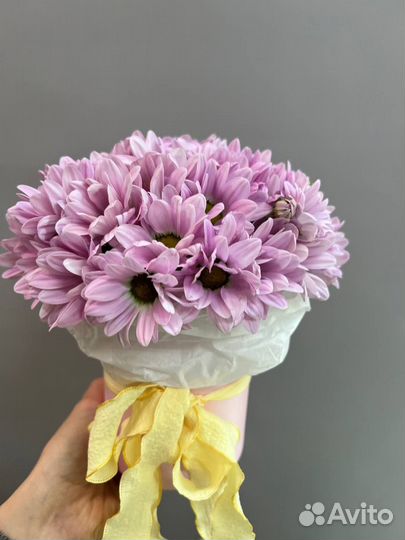 Доставка ромашка букет цветов