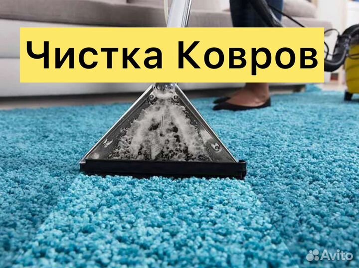 Аренда моющего пылесоса Karcher Puzzi 10/1