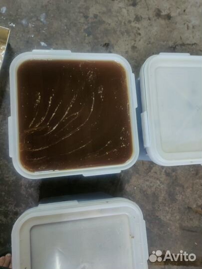 Мёд оптом гречиха с разнотравьем свежайший урожай