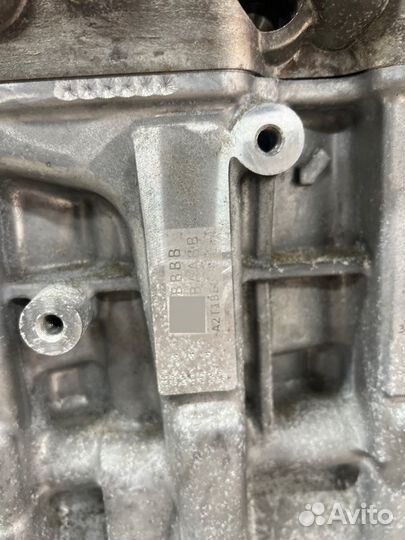 Двигатель Kia K5 DL3 G4KN 2019-2024