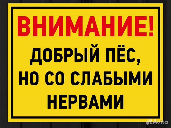 Табличики на дом злая собака