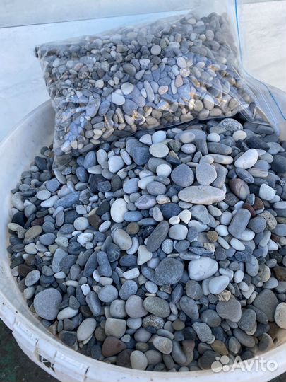Грунт. Галька морская