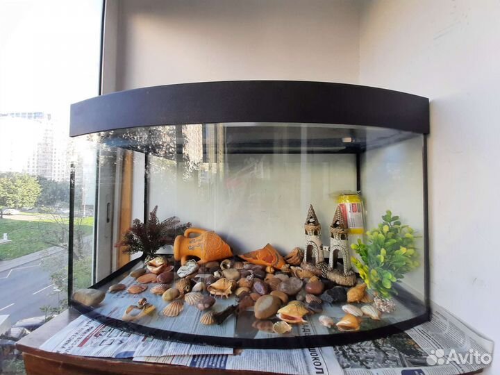 Аквариум