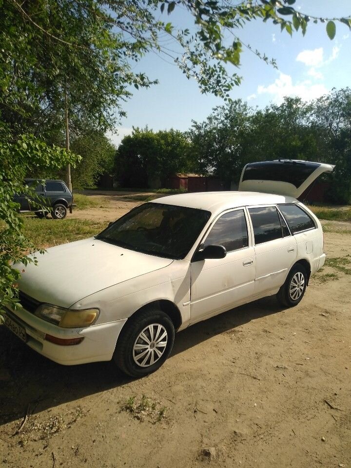 Toyota Corolla: фото владельца
