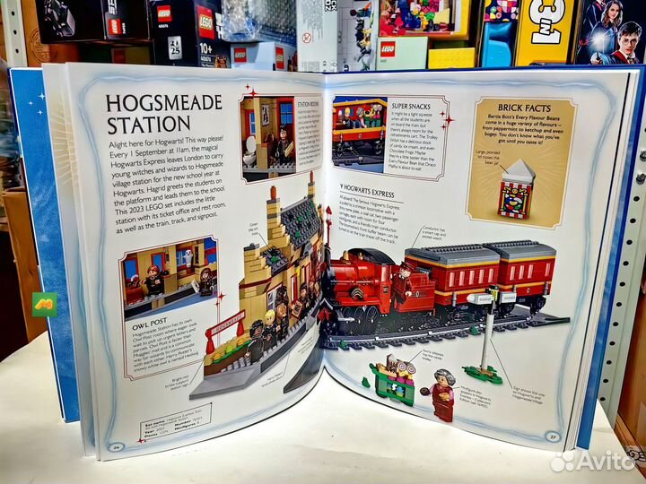 Книга Гарри Поттер Visual Dictionary c Седриком Ди